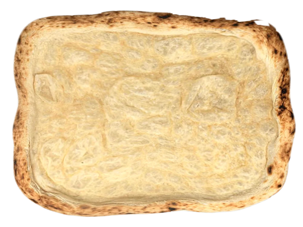 Base pizza Pala romana classica Crost cotta a legna
